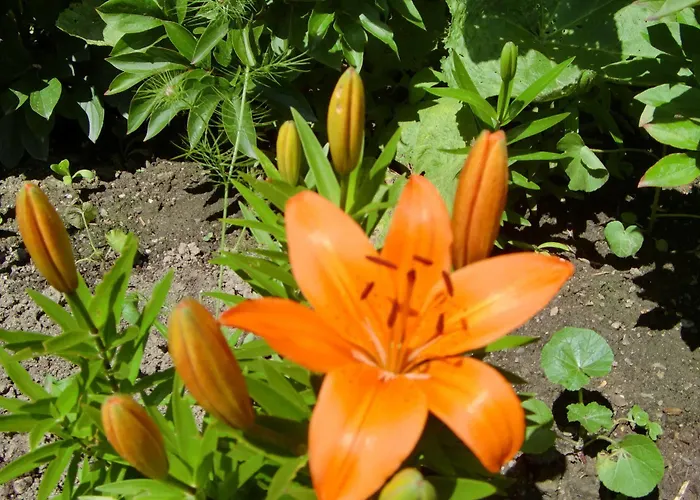 호텔 Erika Boutiquehotel 키츠부헬